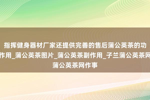 指挥健身器材厂家还提供完善的售后蒲公英茶的功效与作用_蒲公英茶图片_蒲公英茶副作用_子兰蒲公英茶网作事
